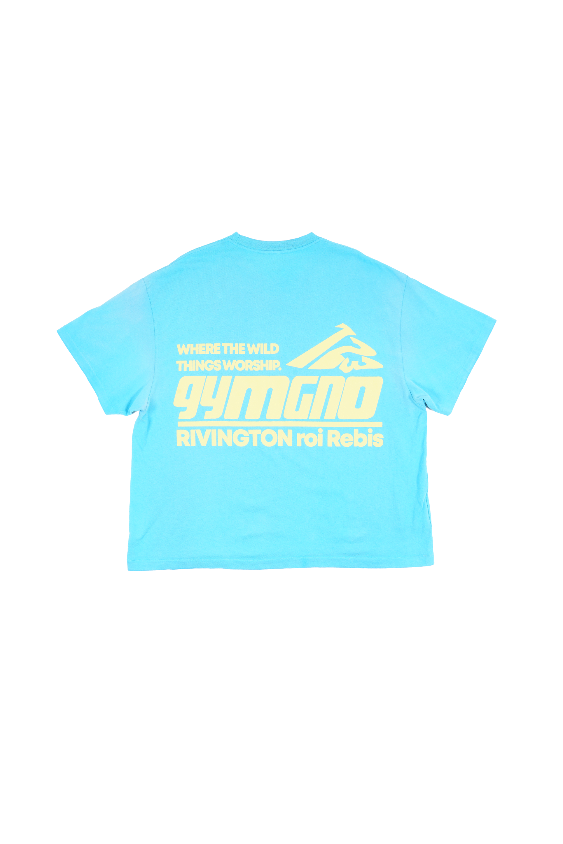 RIVINGTON roi Rebis USO GYMGNOSTIC Tシャツ USO GYMNOSTIC SS TEE – RIVINGTON roi Rebis